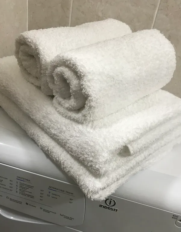 Квартира Квартира Живи в Песочном рядом с НИИ Петрова/Гранова/Напалкова — Песочный