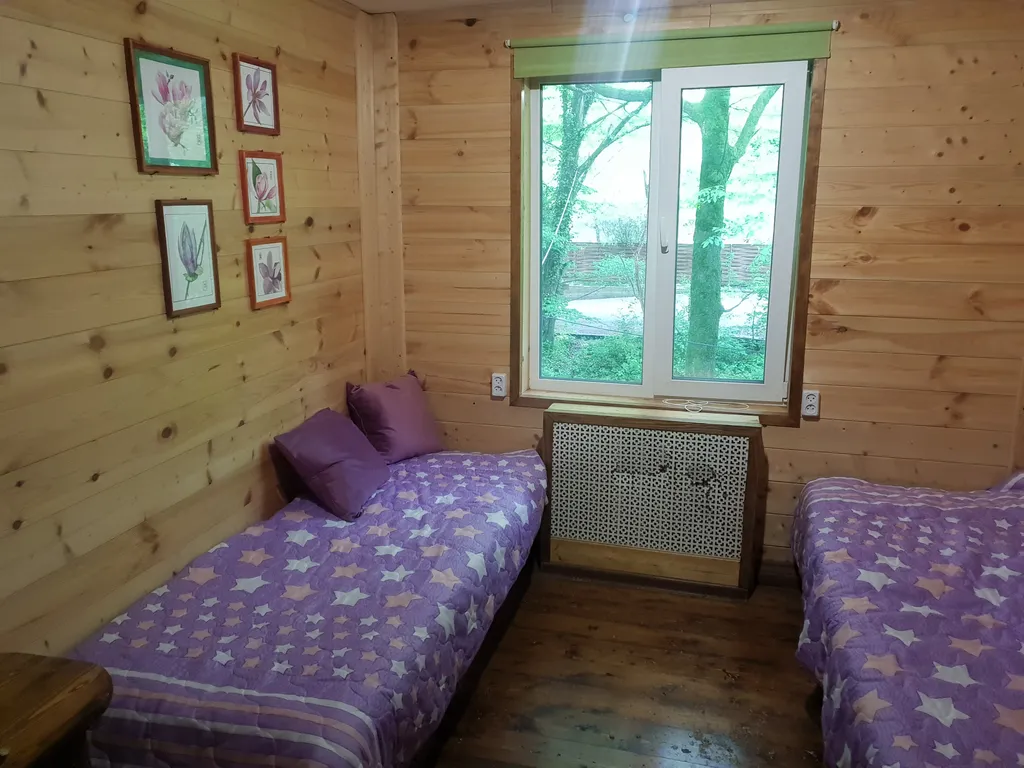 Большой дом для большой компании