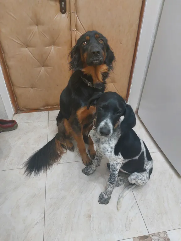 Семейный трехкомнатный номер