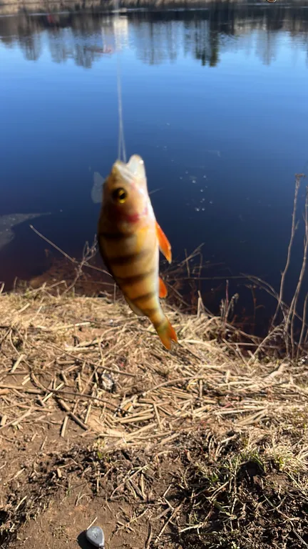 Домик с баней, солярием и джакузи