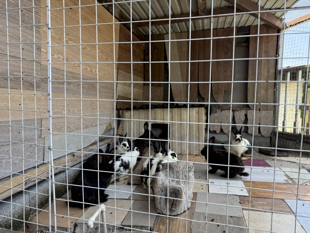 Коттедж в Кабардинке с бассейном и видом на море