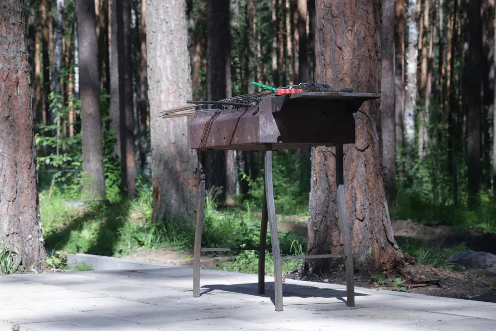 Барнхаус №2 с панорамой