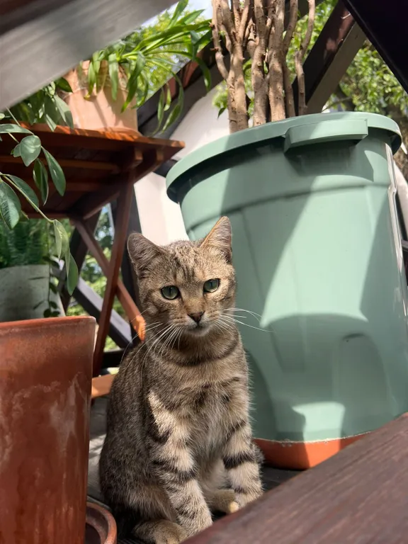 Отличный дом для гостей