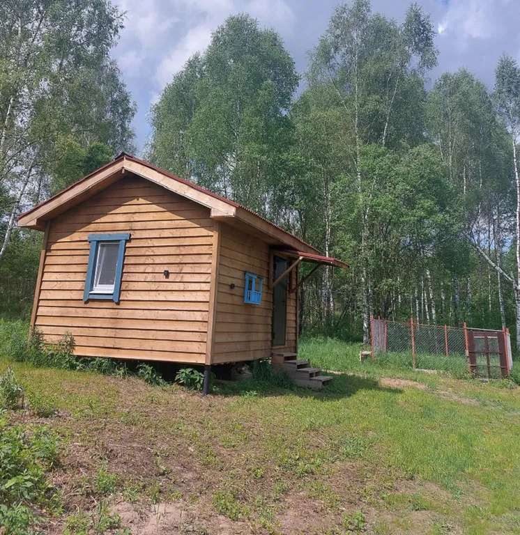 Уютный домик в заповедном лесу
