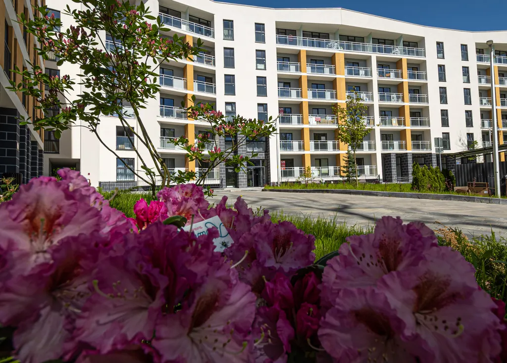 Квартира Новый стильный апартамент в шаговой доступности от моря — аренда посуточно в Светлогорск