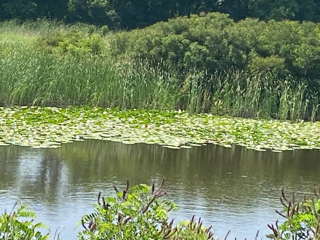 Дом на реке