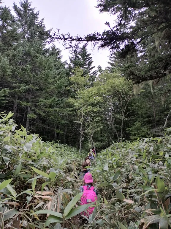 Уютный купол на острове Кунашир