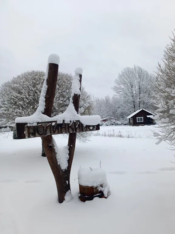 Дом у пруда