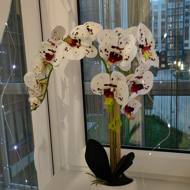 Квартира Уютная, новая квартира недалеко от центра — Калининград