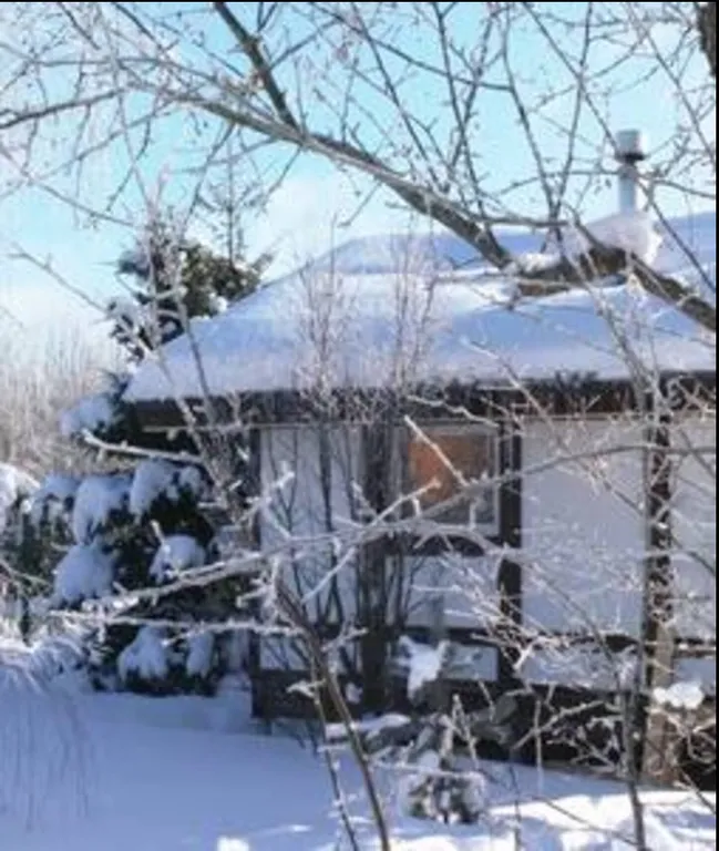 Эколофт с теннисным кортом недалеко от реки Москвы с сауной, камином