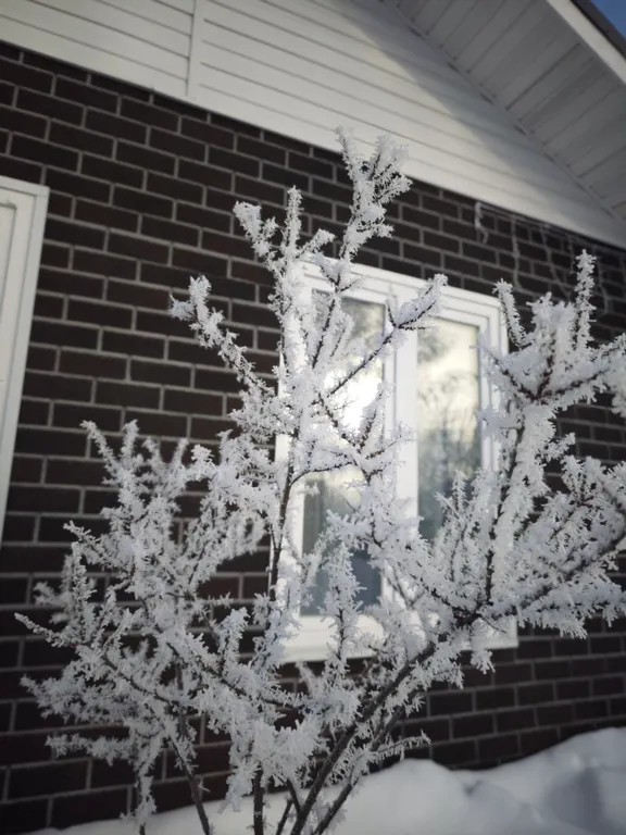 Городская дача