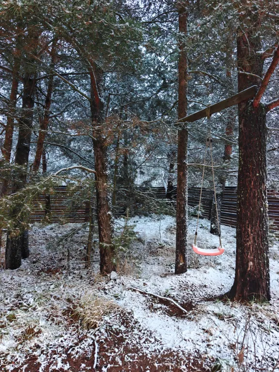 Уютный барнхаус с видом на лес