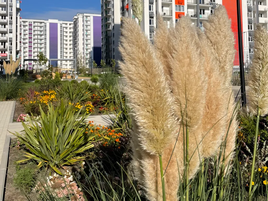 Квартира Квартира Уютная и эргономичная студия Морент в ЖК Фрукты — Сириус