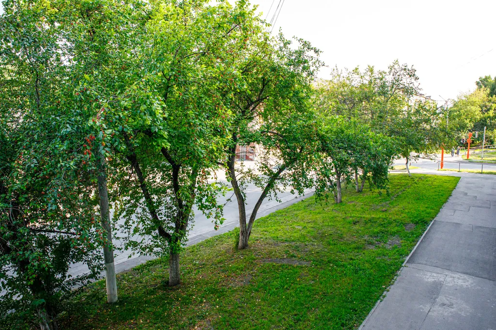 Квартира в центре города