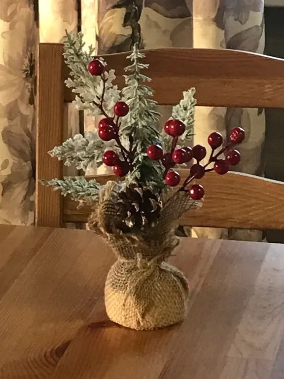 Загородный дом в лесу вблизи залива