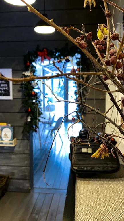 Дубльдом в сoснaх