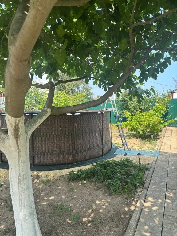 Уютный дом у моря