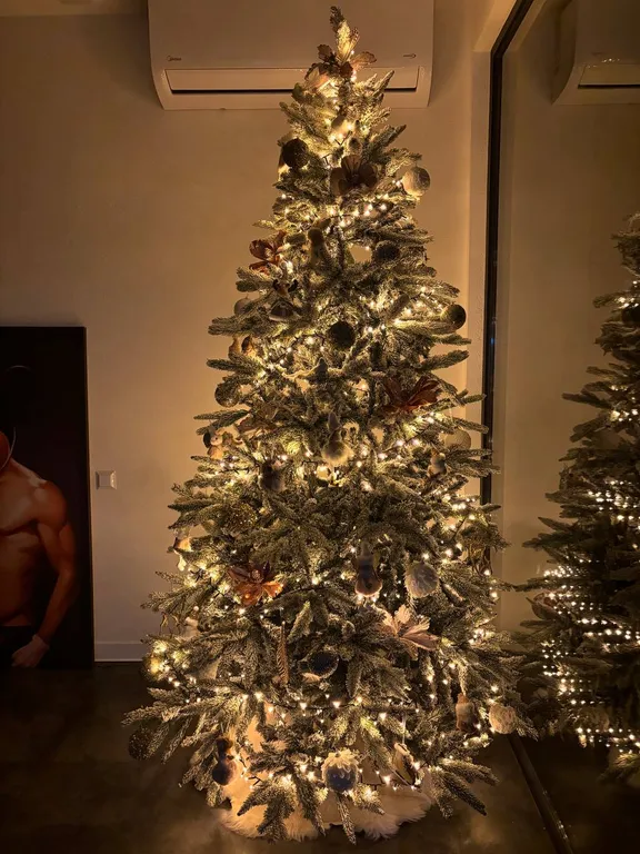 Семейный дом