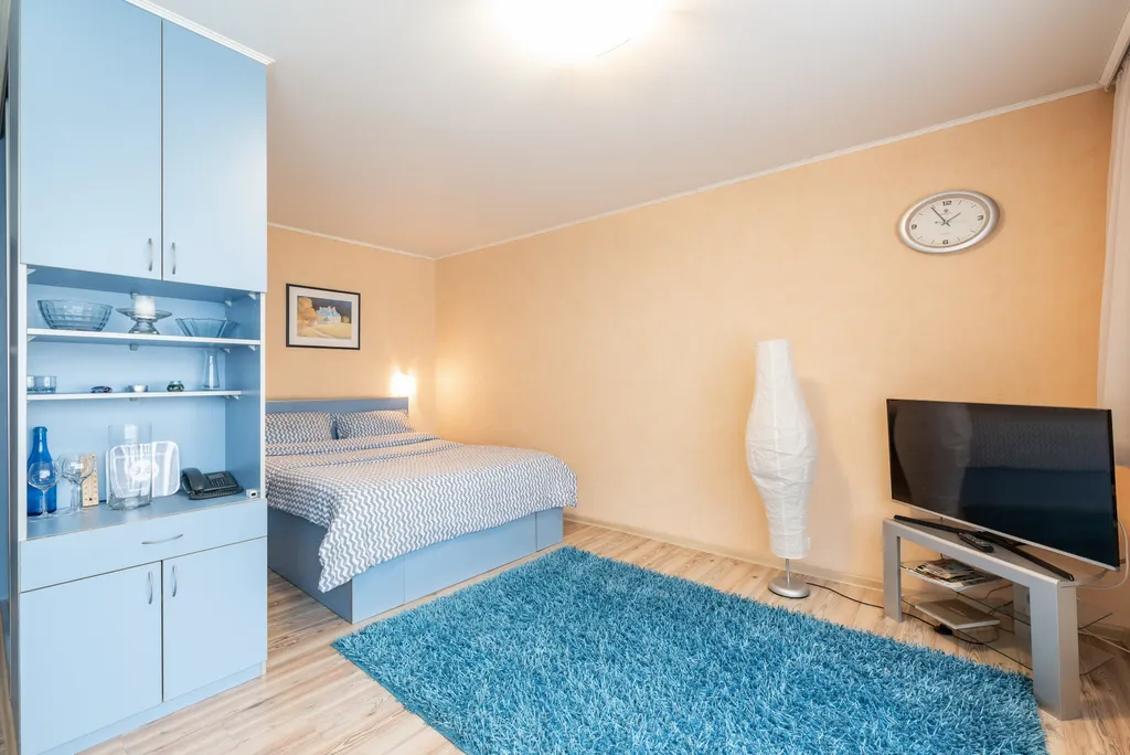 Квартира Уютная студия в Раковском Предместье - Немига — аренда посуточно в Минск