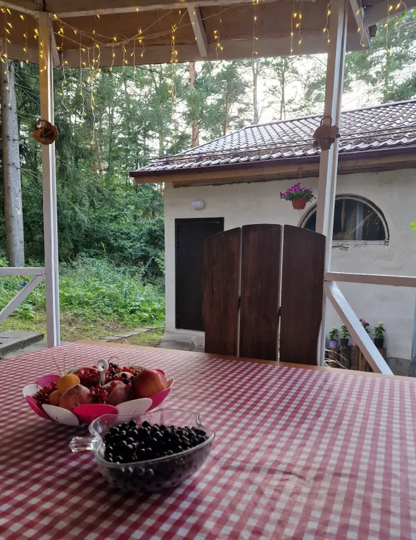 Уютный домик с сауной с видом на лес