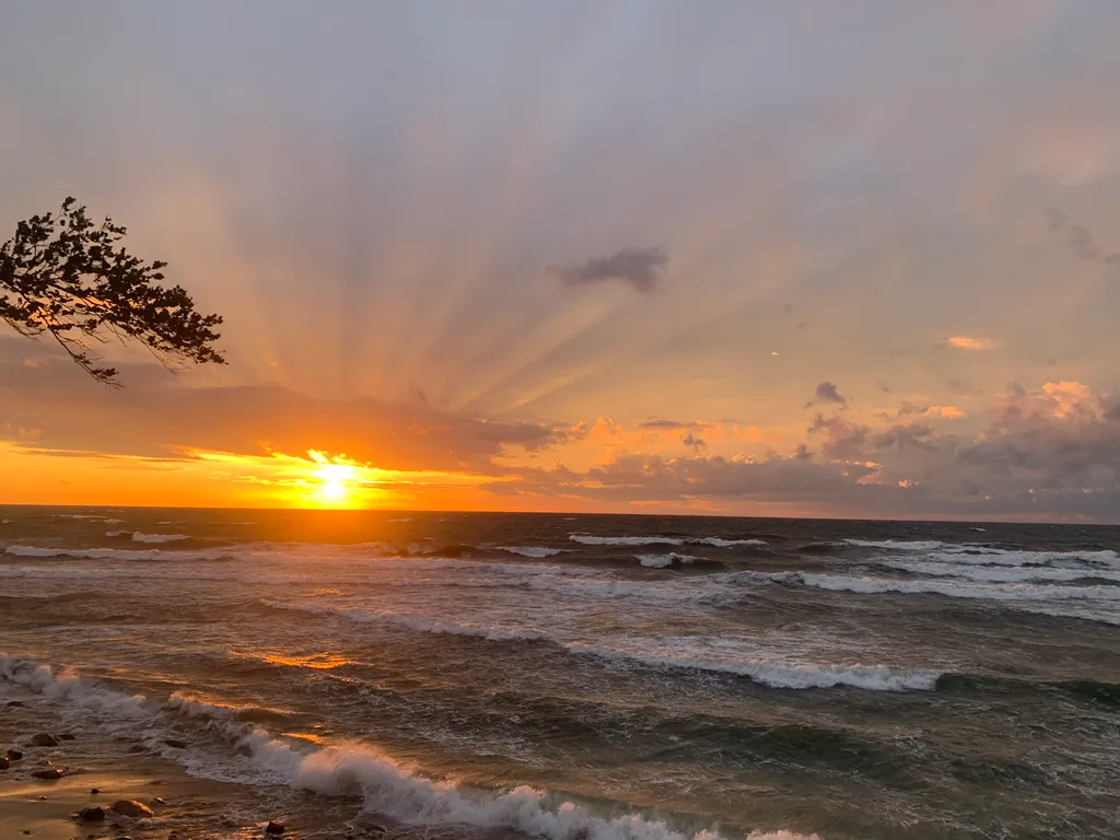Уютная студия в центре Светлогорска