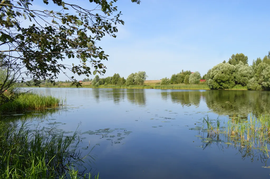 Дом с сауной у реки