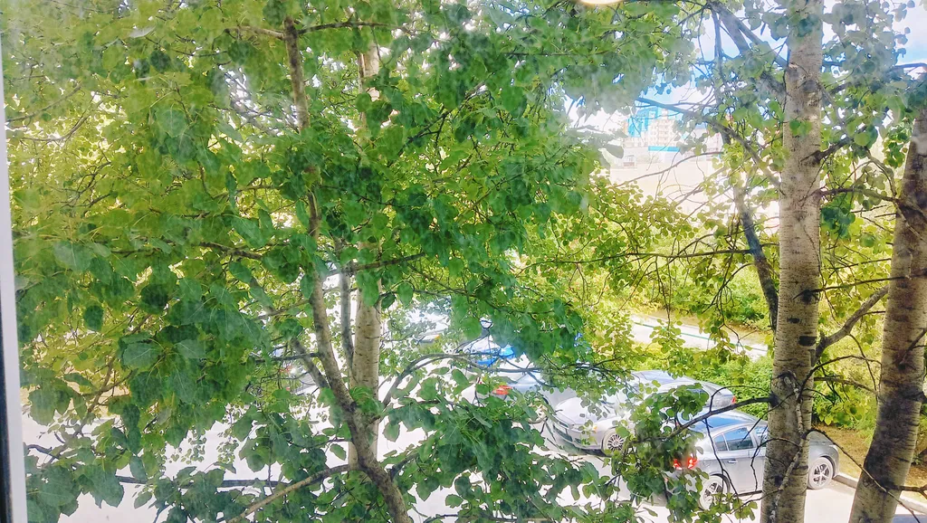 Уютная квартира в сердце города