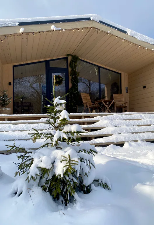 Дом у леса с русской баней