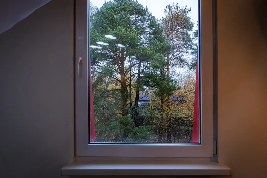 Уютная студия с видом на сосны
