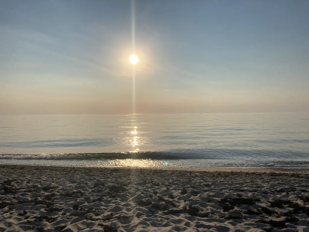 Квартира Квартира Villa Elizabeth 20 — Светлогорск