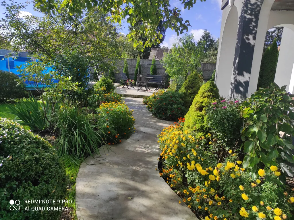 Гостевой дом с бассейном и баней на дровах