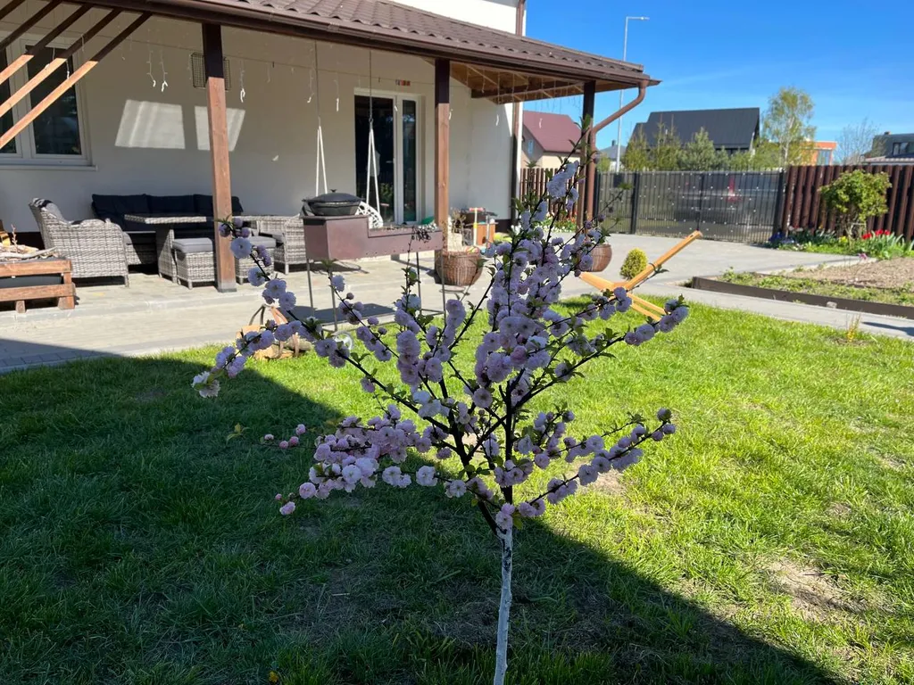 Уютный дом на Балтийском побережье