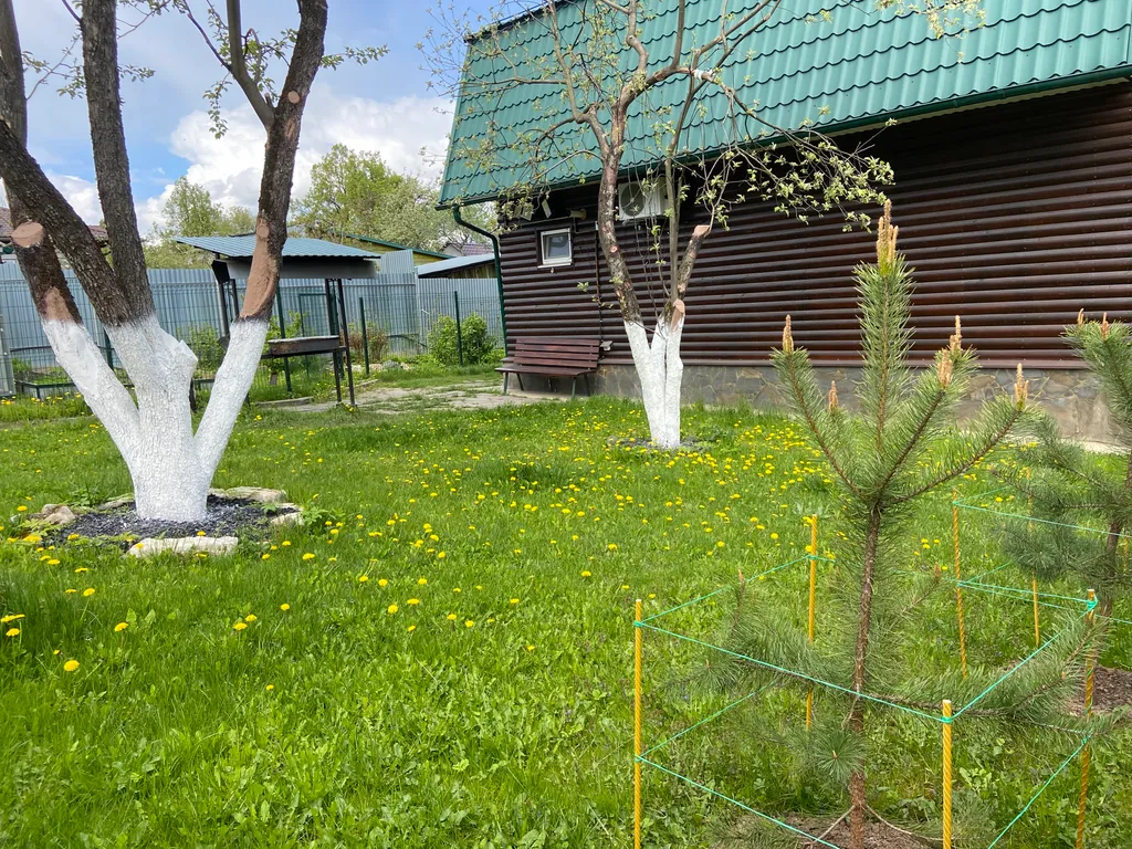 Дом у Александра