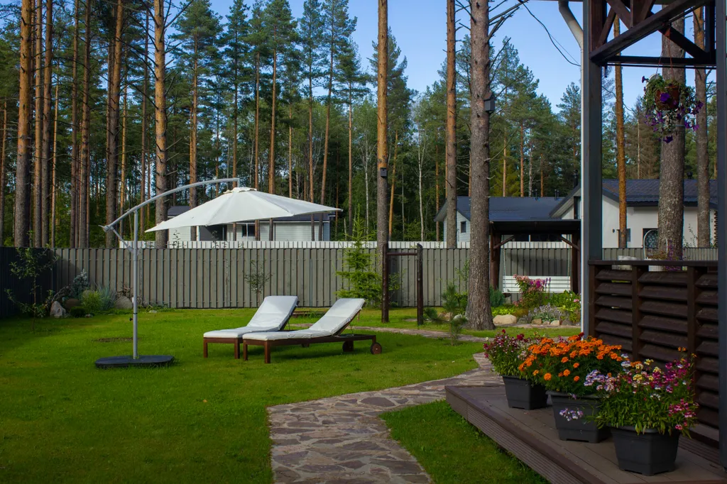 Шале в сосновом бору