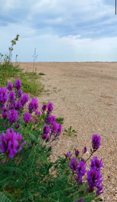 Комфортный коттедж