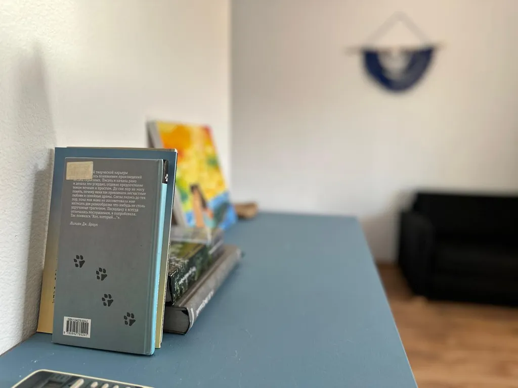 Делюкс с террасой и отдельным входом