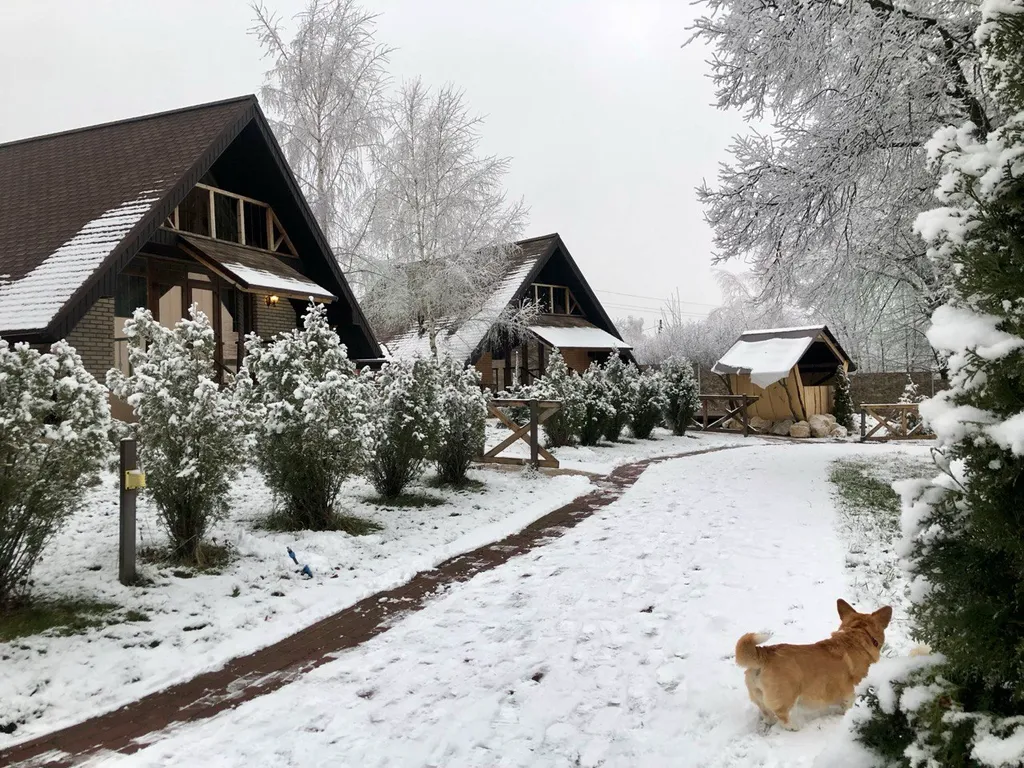 Коттедж в стиле шале