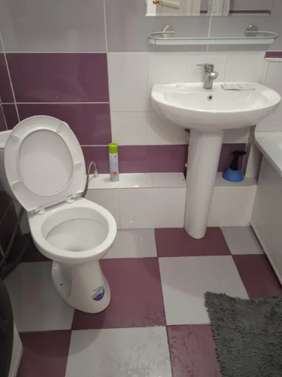 Квартира Однокомнатная уютная квартира — Красноярск