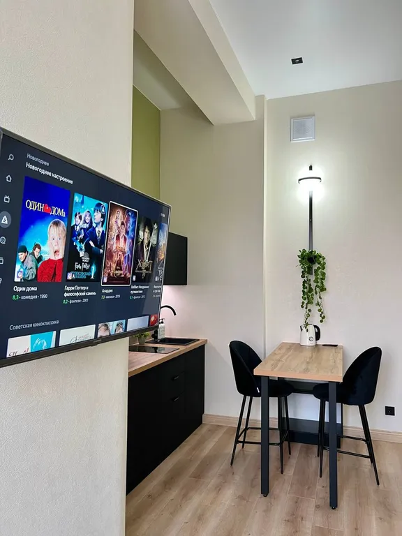 Стильная студия с выходом на кровлю ТЦ Галерея