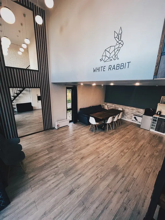 Белый кролик 1