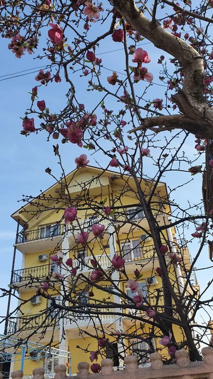 Квартира Комната — Гагра