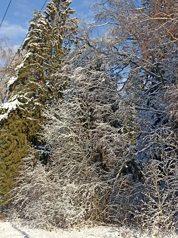 Уютный новый дом рядом с городом