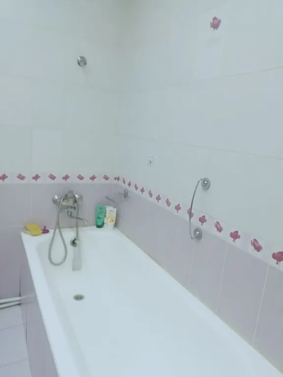 Просторная евро-двушка в историческом центре