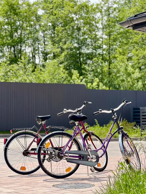 Квартира Апартаменты на берегу моря — Пионерский