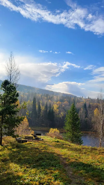 Лесная Гавань