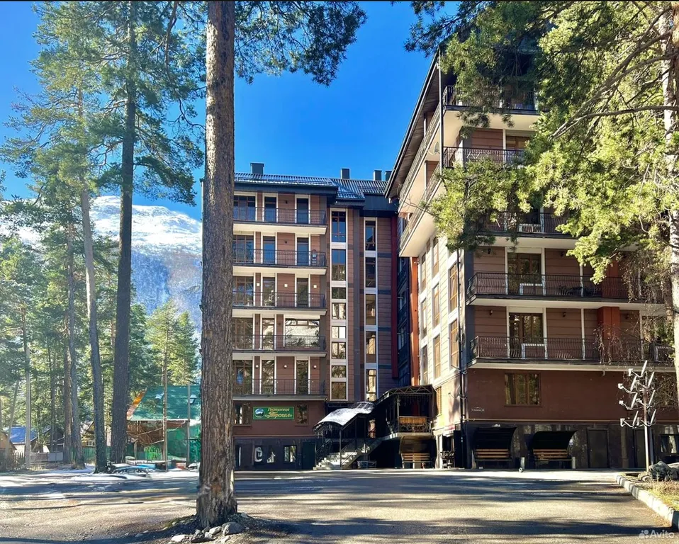 Уютная квартира в горах Эльбруса