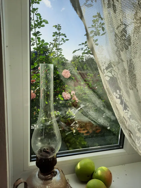 Усадьба со всеми удобствами