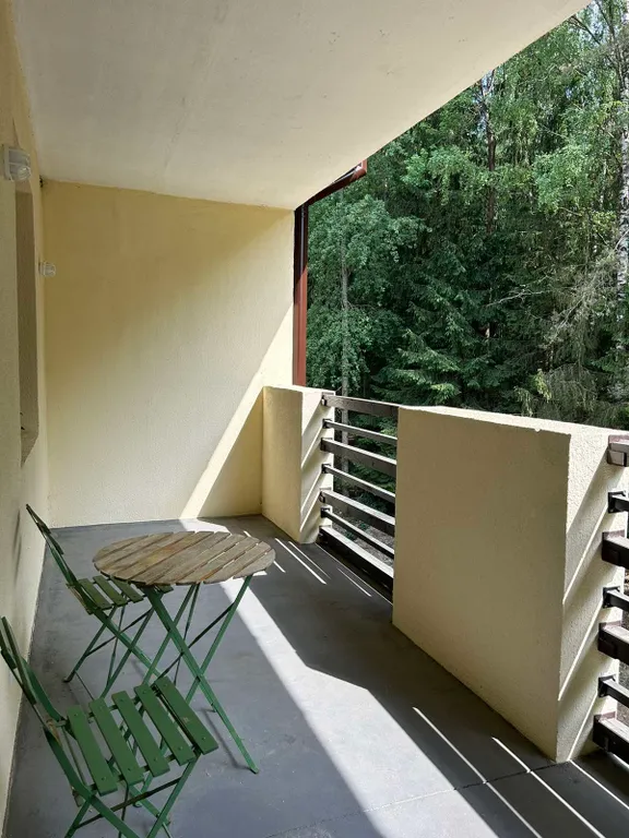 Студия с видом на лес