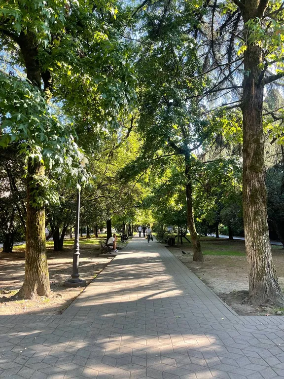 Квартира Уютная квартира в центре — Сочи