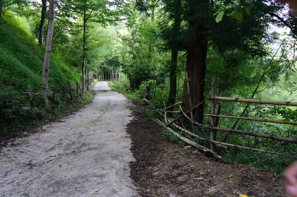 Белый дом в горах Ортабатуми